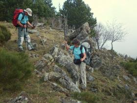 photo coins arrondis