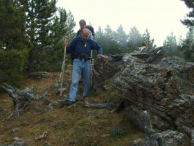 photo coins arrondis