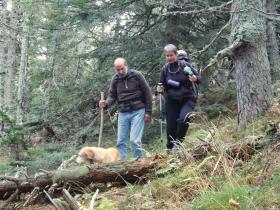 photo coins arrondis