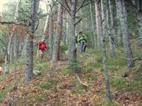 photo coins arrondis