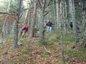 photo coins arrondis