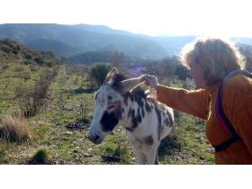 photo coins arrondis