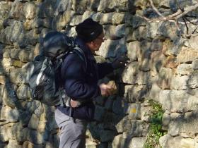 photo coins arrondis