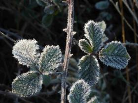 Fraissé les Corbières Fraissé les Corbières