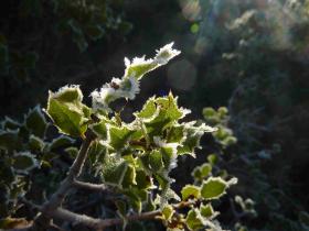 photo coins arrondis