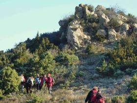 photo coins arrondis