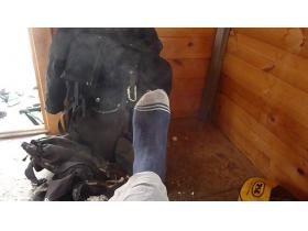 photo coins arrondis