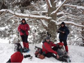 photo coins arrondis