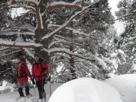 photo coins arrondis