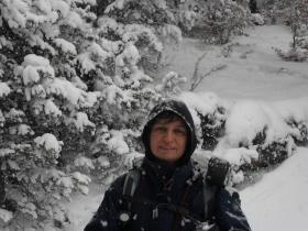 photo coins arrondis