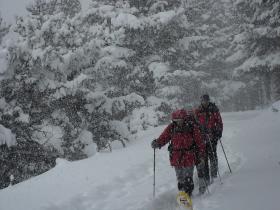 photo coins arrondis