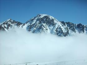 photo coins arrondis