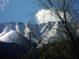 photo coins arrondis