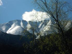 photo coins arrondis