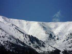 photo coins arrondis