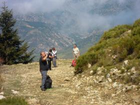 photo coins arrondis