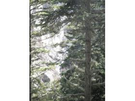 photo coins arrondis