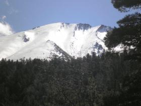 photo coins arrondis