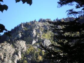 photo coins arrondis