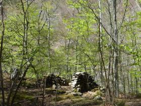 photo coins arrondis