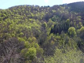 photo coins arrondis