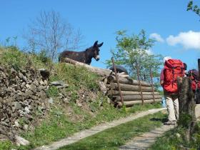 photo coins arrondis