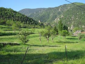 photo coins arrondis