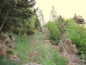 photo coins arrondis