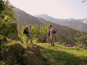 photo coins arrondis