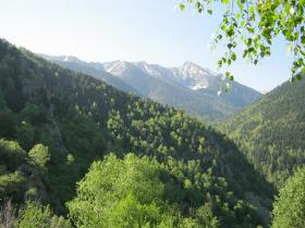 photo coins arrondis