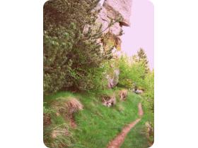 photo coins arrondis