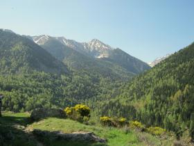 photo coins arrondis