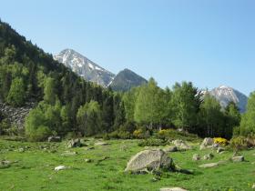 photo coins arrondis