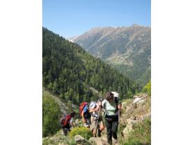 photo coins arrondis