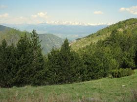 photo coins arrondis