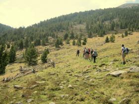 photo coins arrondis