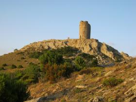 photo coins arrondis