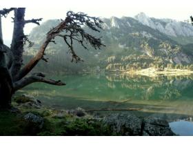 photo coins arrondis