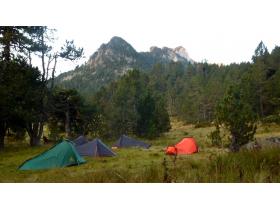 laurenti-05.jpg Image aléatoire