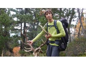 photo coins arrondis