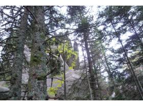 photo coins arrondis