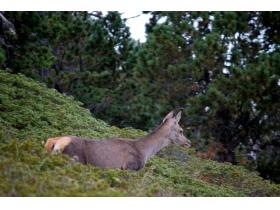 photo coins arrondis