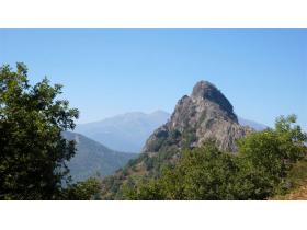 photo coins arrondis