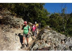 photo coins arrondis