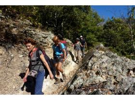 photo coins arrondis