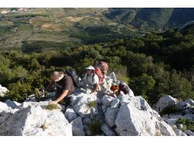 photo coins arrondis