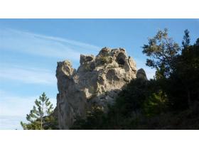 photo coins arrondis