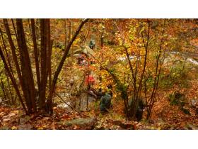 photo coins arrondis