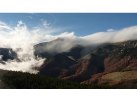 photo coins arrondis