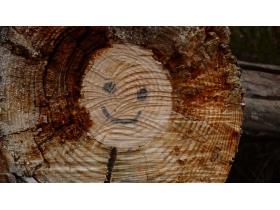 photo coins arrondis